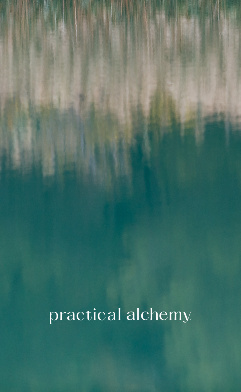 ANewChapter_PracticalAlchemy_mobile_w-_logo.png
